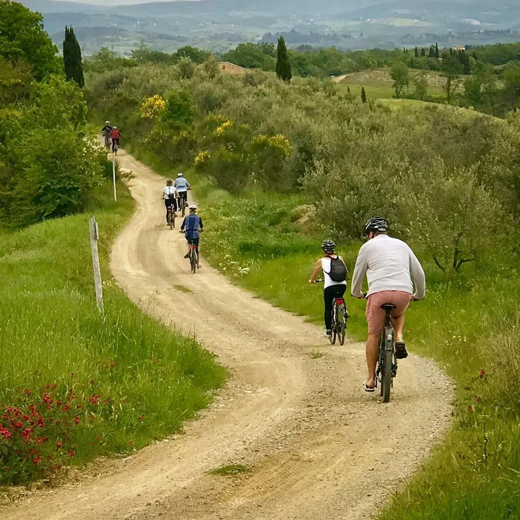 Riders on a white gravel road winding through the green Chianti hills with cypress trees
