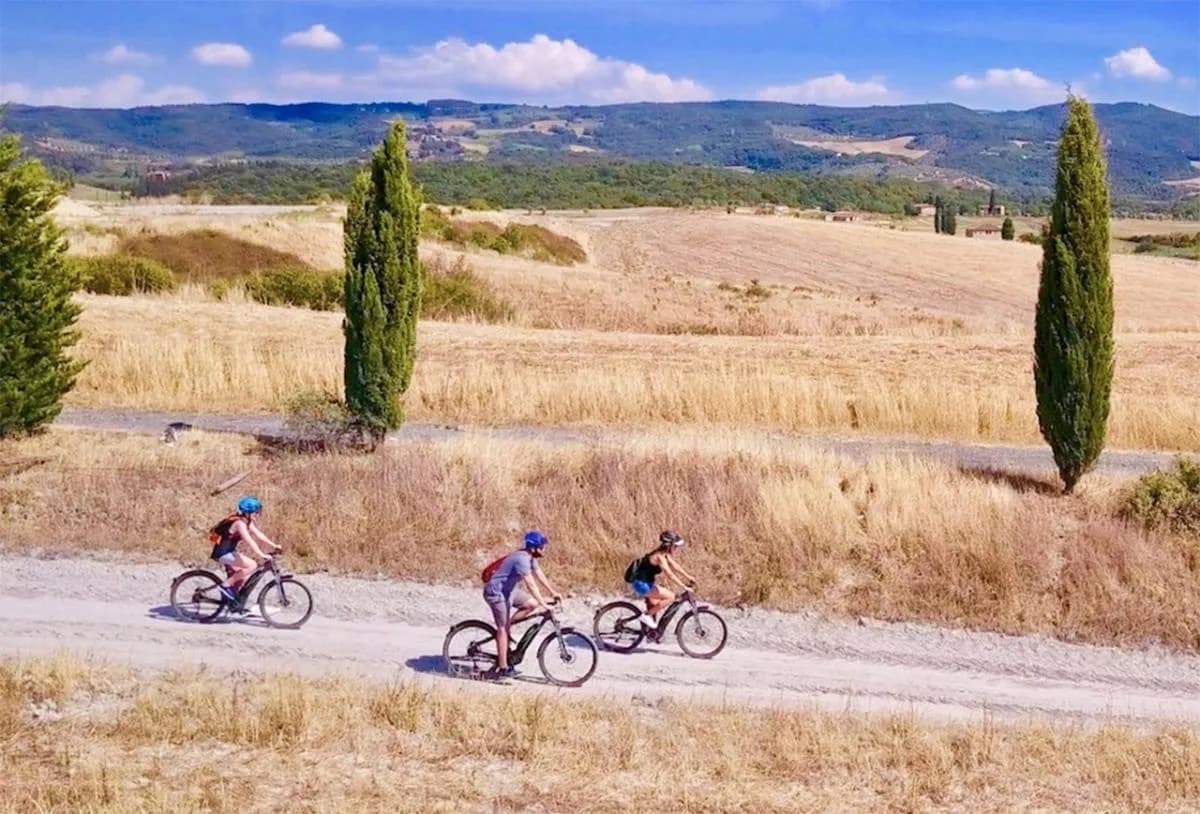 Cyclists riding through golden Tuscan countryside lined with cypress trees