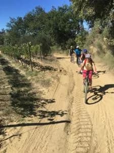 Riders on a sandy path beside a Tuscan vineyard